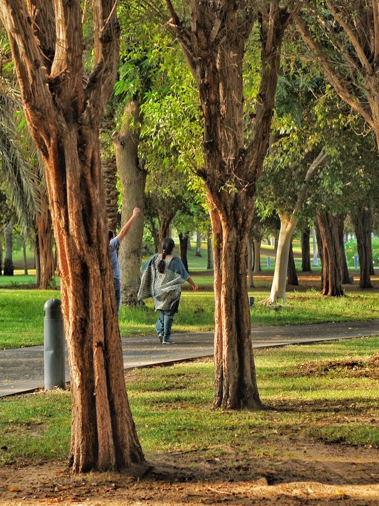 stadtpark_garbsen_immobilienmakler